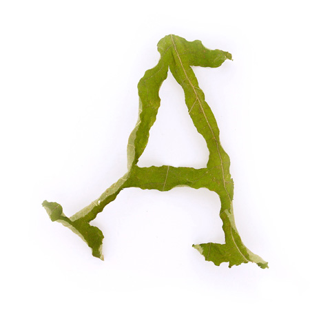 dzn_jelte_van_abbema_leaf_3.jpg