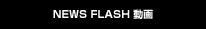 NEWS FLASH動画