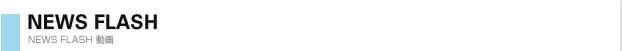 NEWS FLASH 動画