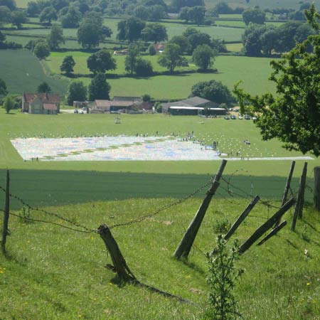 CD Sea by Bruce Munro 