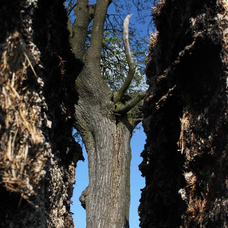 The Cross-Gate by Ivo Pavlik