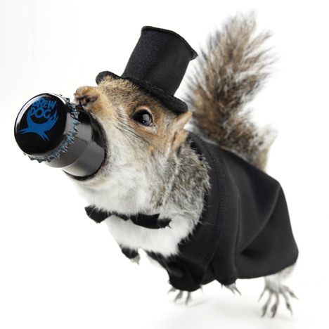 The End of History by Brew Dog