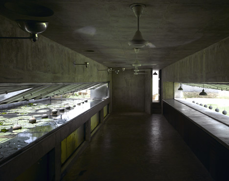 The House with Balls by Matharoo Associates