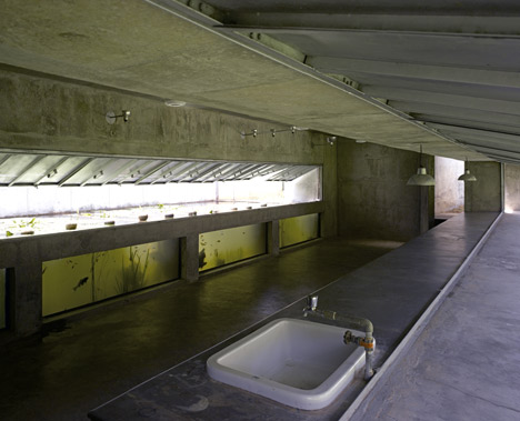 The House with Balls by Matharoo Associates