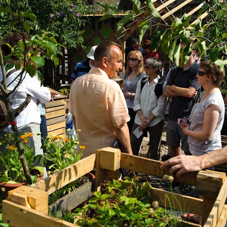Urban Orchard by Heather Ring