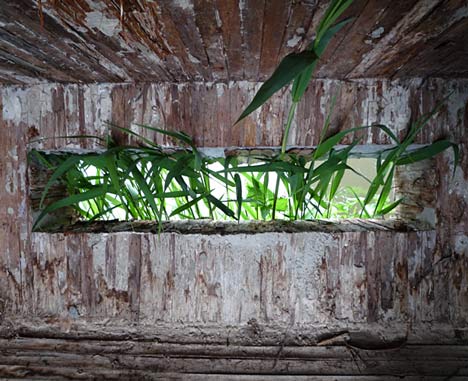 KAPKAR/ TO-RXD by Frank Havermans