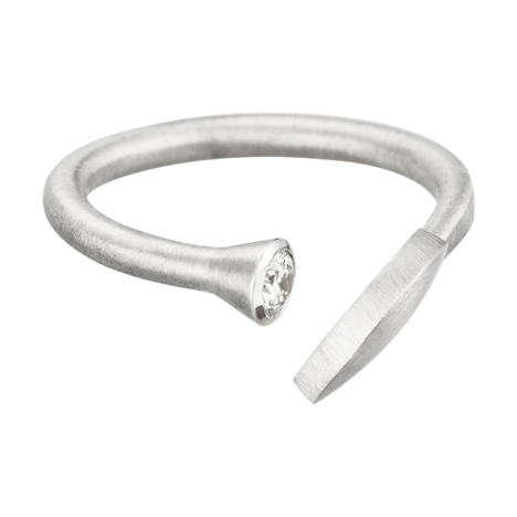 Rings by Nicolas Le Moigne and A E Kochert